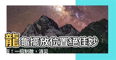 龍龜擺放位置|龍龜擺放高度指南：招財、化煞、鎮宅的最佳位置 